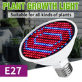 Lighting Fill Light Clip Plant Grow Light USB Dimmable Home Full Spectrum Light Waterproof Seedling Light 5V
